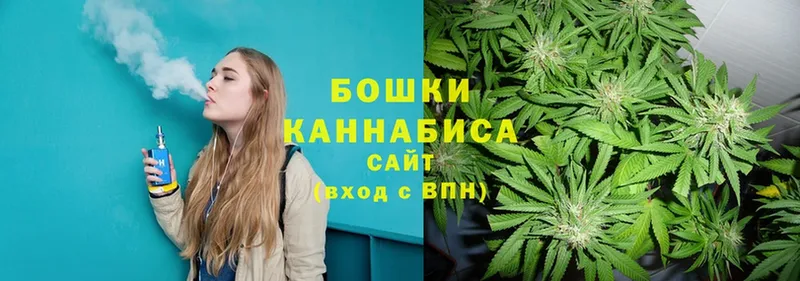 Марихуана White Widow  сколько стоит  блэк спрут зеркало  Лодейное Поле 